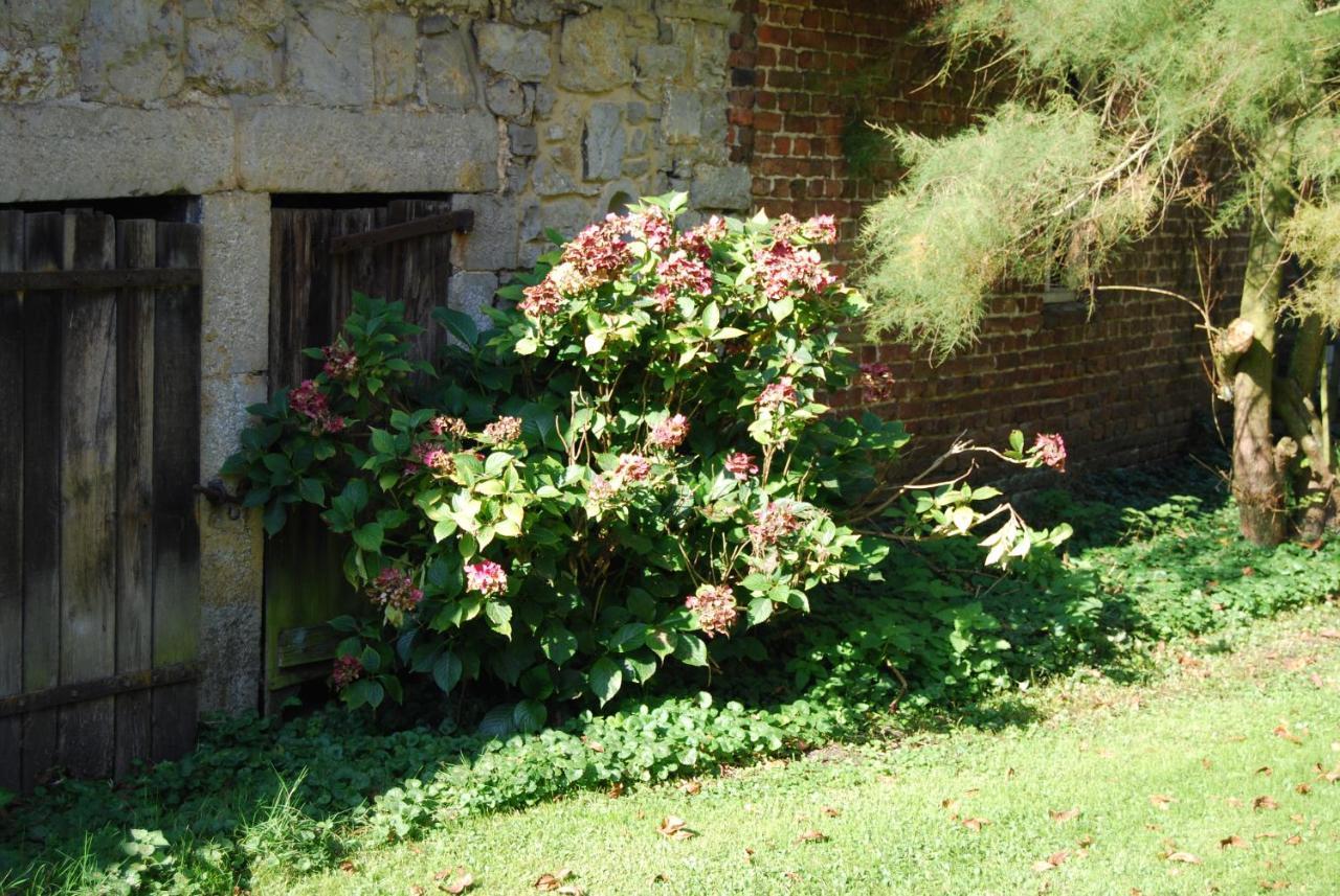 Gite La Grange D'Herbuchenne Dinant Exteriör bild